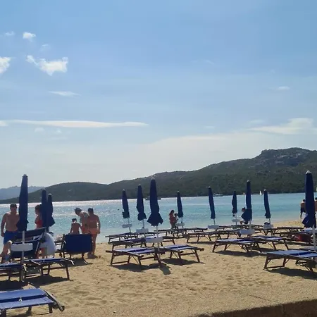 Quinto Pisticci